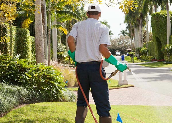About Trumbull NE Pest Control